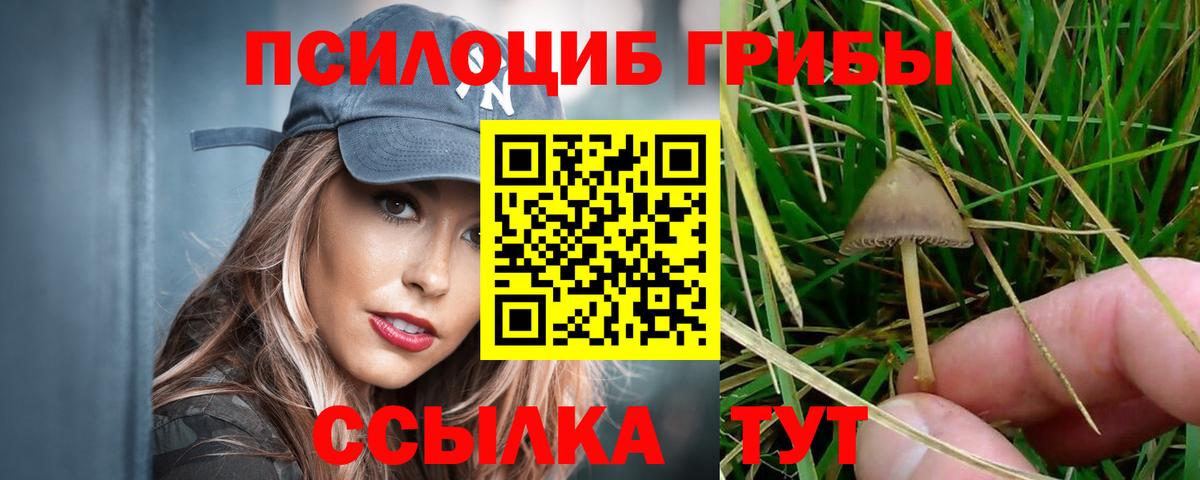 Галлюциногенные грибы Magic Shrooms  Вход с VPN  Ликино-Дулёво 